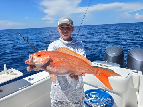 Offshore Deep Sea Fishing-Capt Joe