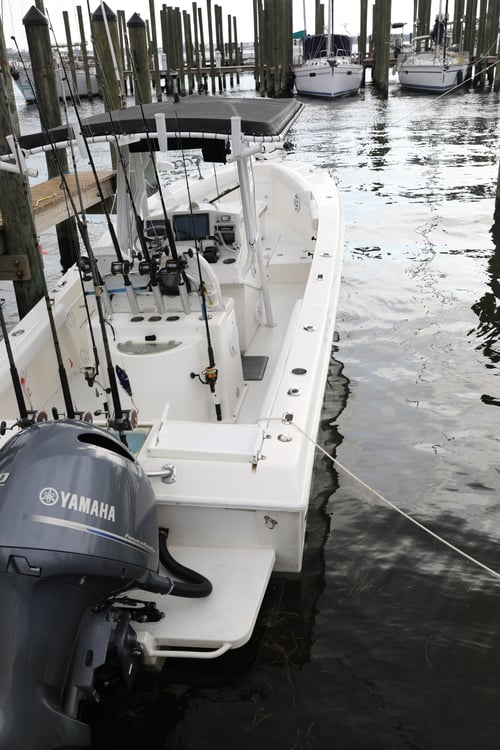 10 Hr Offshore Deep Sea Fishing