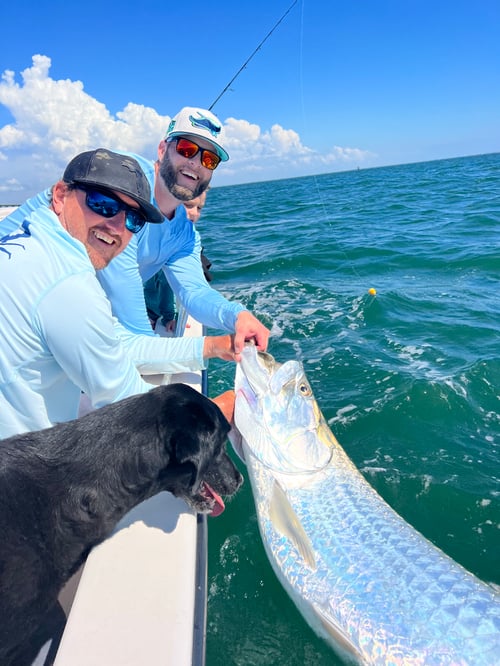 TARPON TRIPS