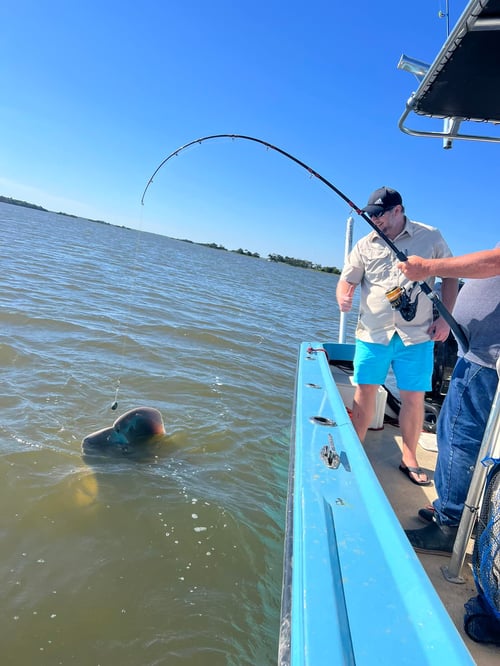 Half Day Trip – Shark Fishing