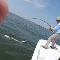 Shark Fishing Trips