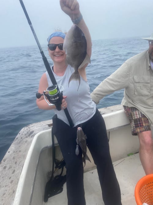 6 hour offshore