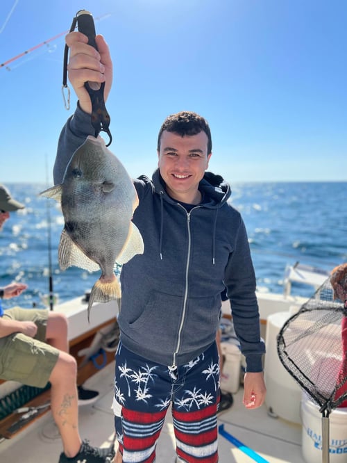 Triggerfish Fishing in Destin, Florida