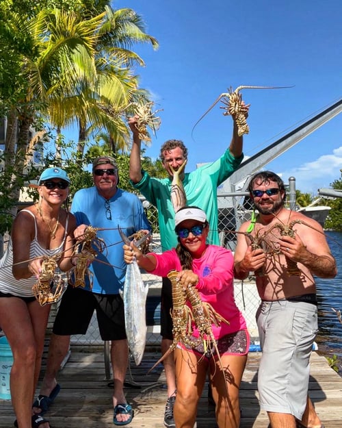 Lobster free dive trip