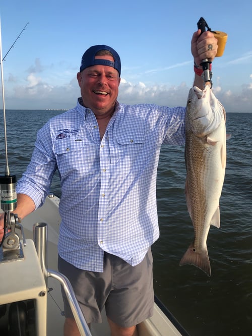 Galveston Bay Tarpon Hunt