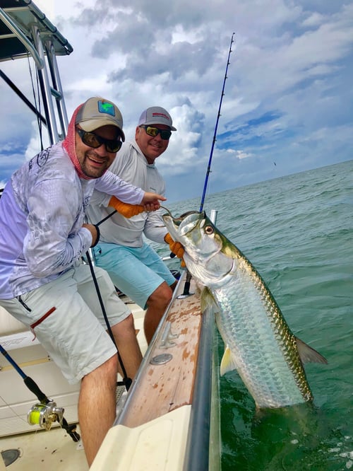 Galveston Bay Tarpon Hunt