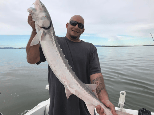 Sturgeon / Striper Trip