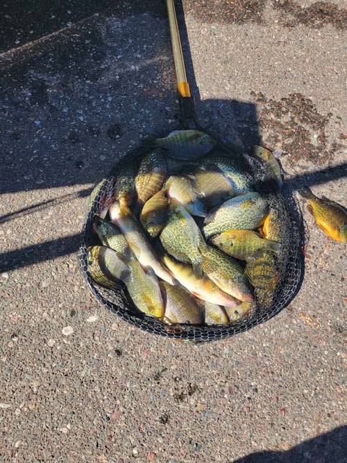 Wisconsin River Fishing