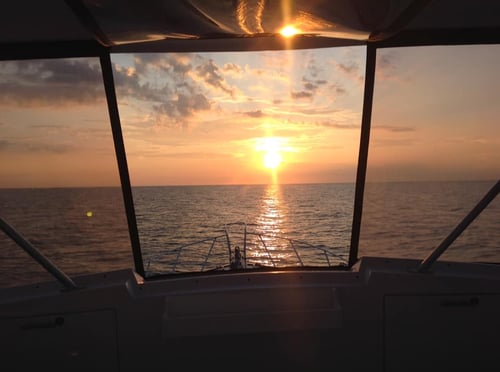 Wanchese Nearshore Trip