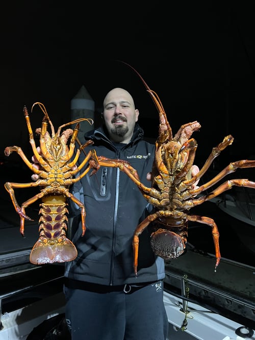 Lobster Fishing in Los Angeles, California