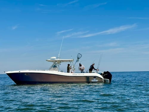 Fernandina Beach Full Day