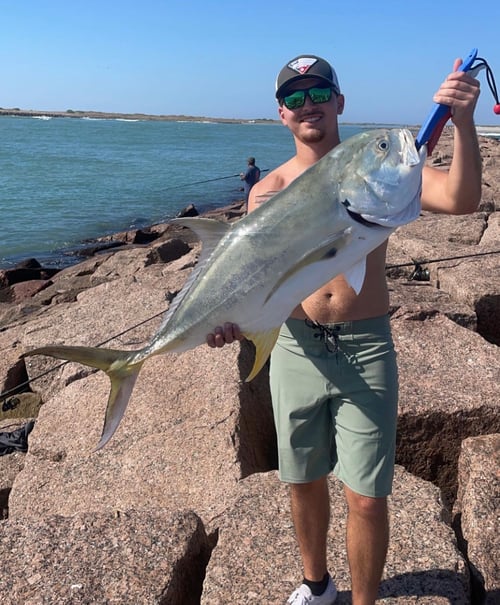 Bull Red Jetty Adventure