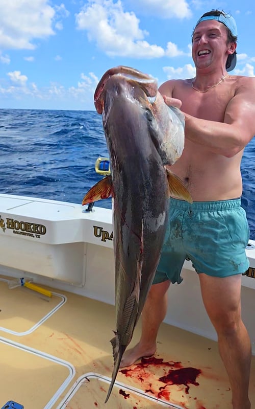 Cobia Fishing in Galveston, Texas