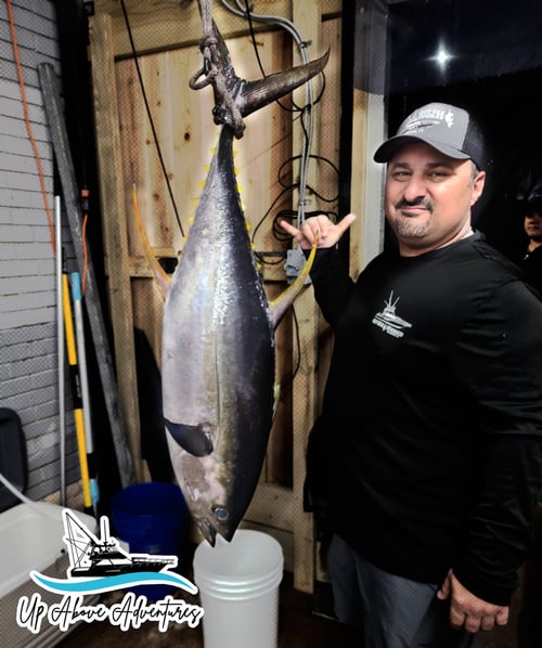 Yellowfin Tuna Fishing in Galveston, Texas