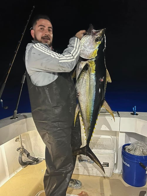 Yellowfin Tuna Fishing in Galveston, Texas