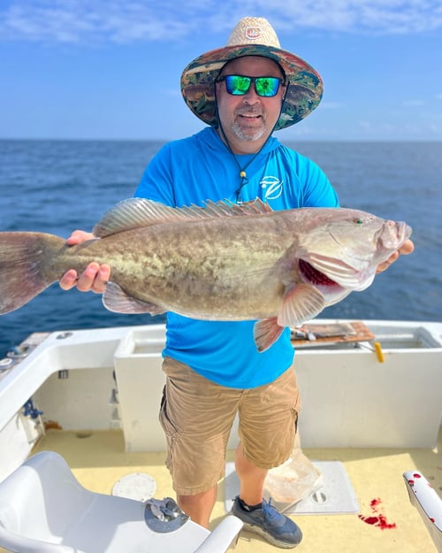 Full Day Trolling