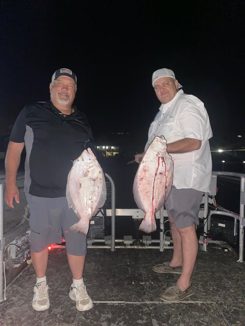 Night Time Flounder Gigging