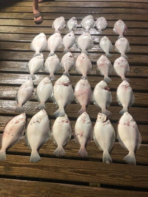 Night Time Flounder Gigging