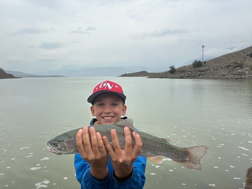 Shoreline Spin-casting For Trout