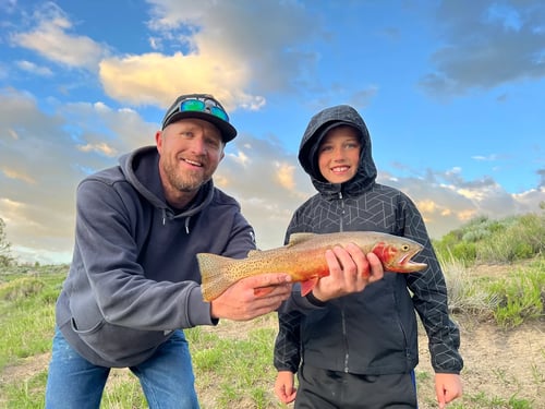 Shoreline Spin-casting for Trout