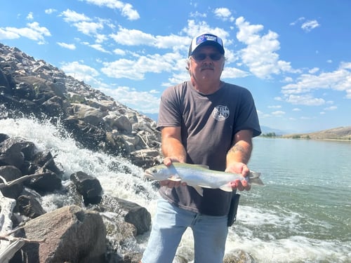 Shoreline Spin-casting for Trout