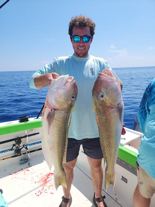 12hr deep sea