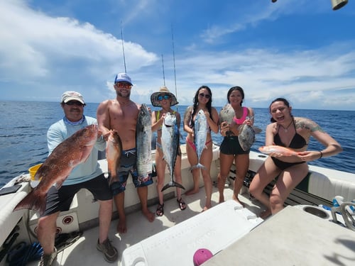 4hr offshore
