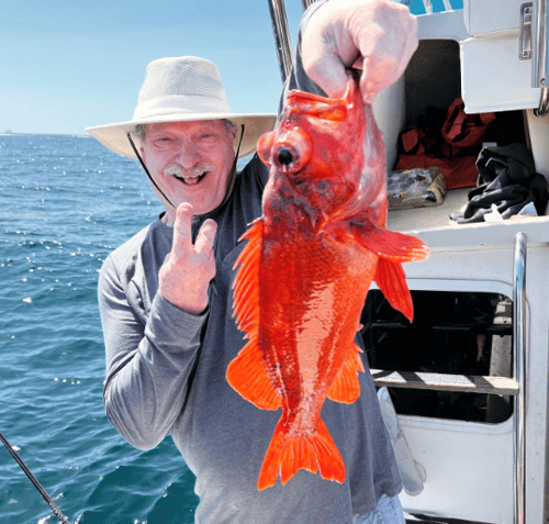 Rock Fish / Ling Cod Combo