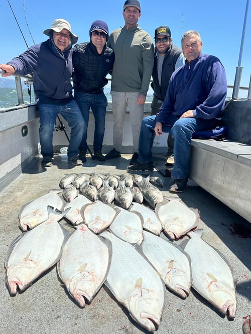 Halibut / Bass