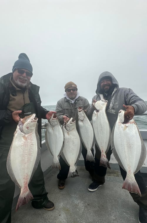 Halibut / Bass