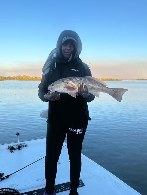 Redfish Fishing in Crystal River, Florida