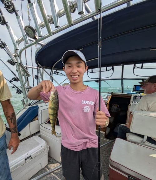 3/4 Day - Full Day Trip