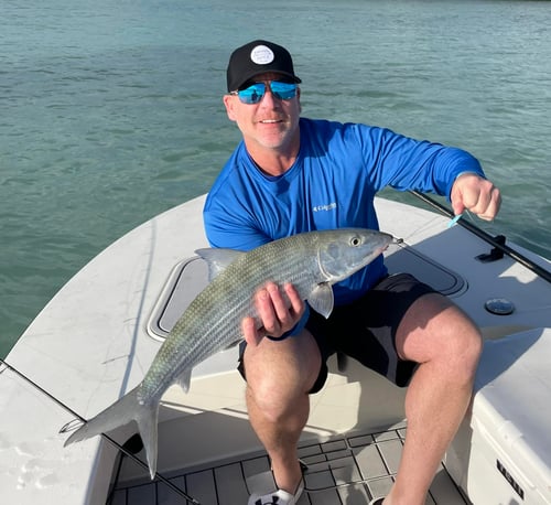 4 Hour Flats trip for 2