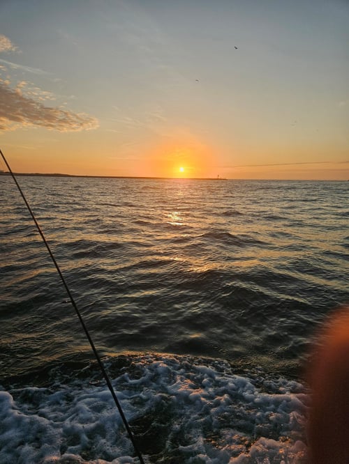 Inshore Fishing NY/NJ/NYC