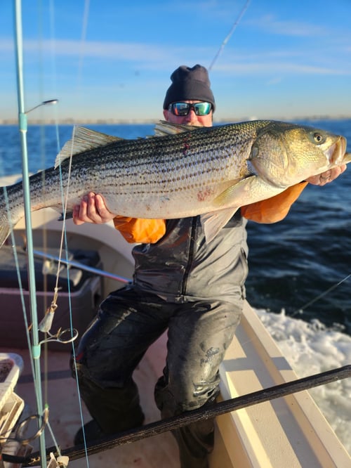 Inshore Fishing NY/NJ/NYC
