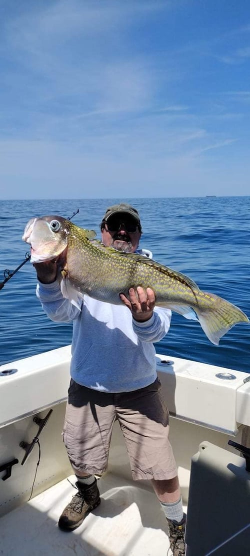 12 Hour Trip – Offshore Trip