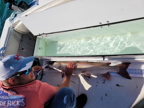 Lake Saint Clair Musky Fishing