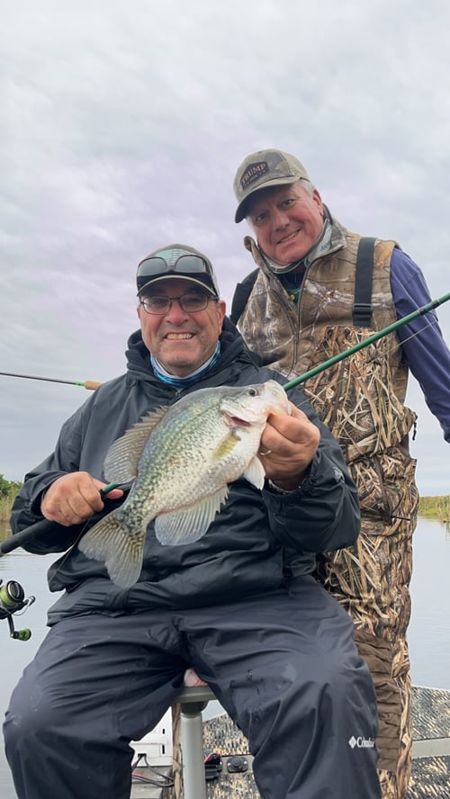 Lake Okeechobee Crappie Fishing