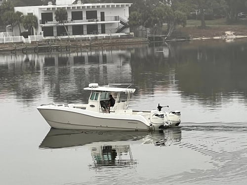 Reel in happiness Offshore Trip