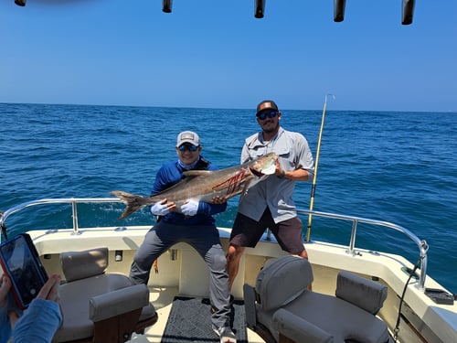 1/2 day fishing adventure