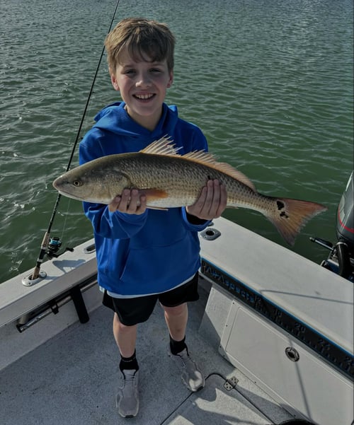 Fly Fishing / Artificial