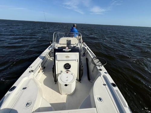 Bass Fishing Trip Florida