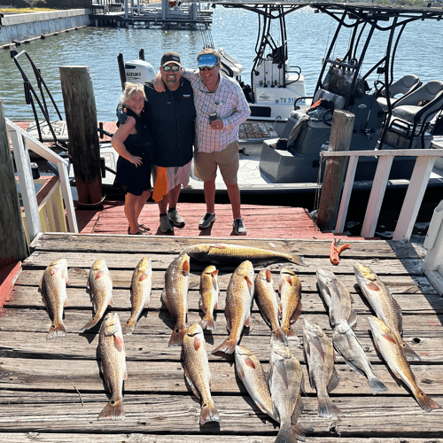 Half Day Port Mansfield