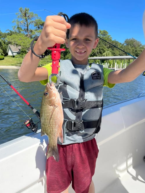 4 Hour Inshore Trip