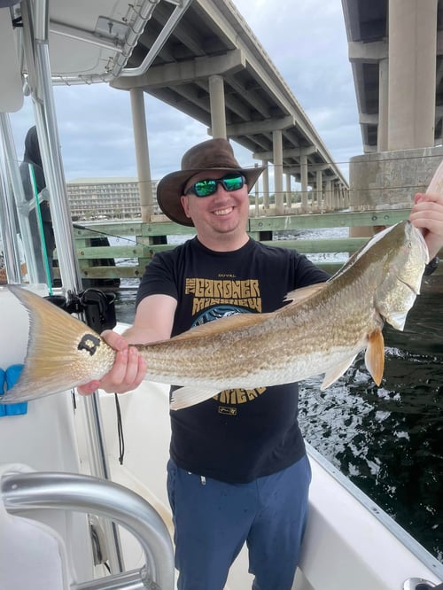 4 Hour Inshore Trip