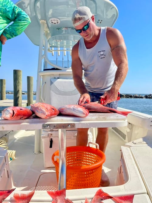 Red Snapper Fishing in Gulf Shores, Alabama