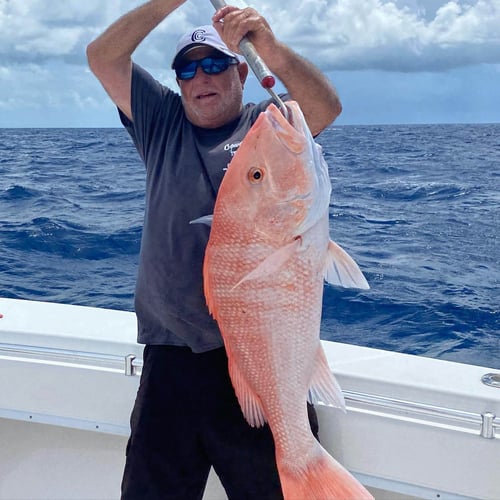 Red Snapper Fishing in Key West, Florida