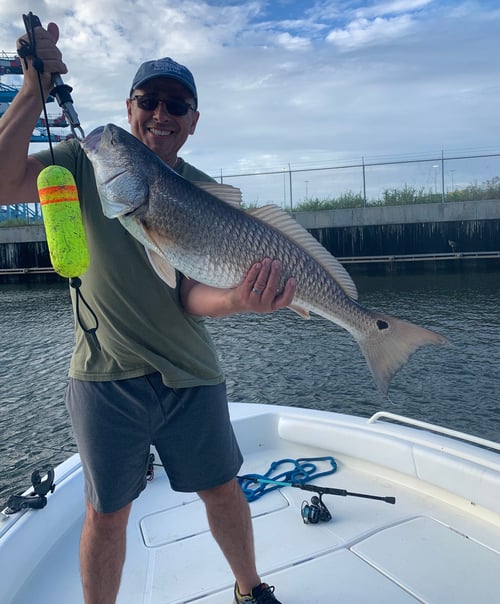 4-6 Hour Inshore Trip