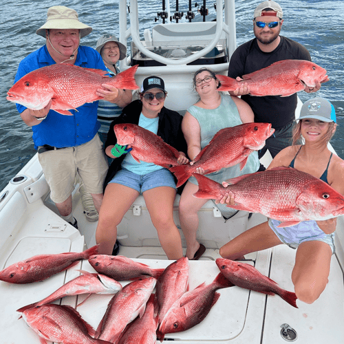 Red Snapper Fishing in Dauphin Island, Alabama