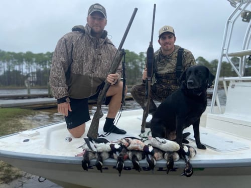 Guided Hunt